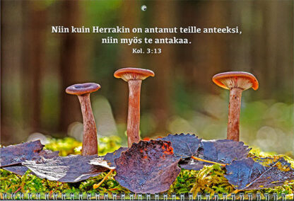 Seinäkalenteri 2026 - Image 2